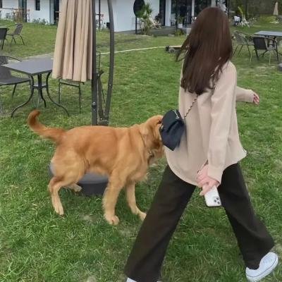 游乐场奇杀案